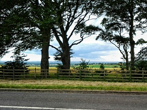 20150723_104933~2.jpg image